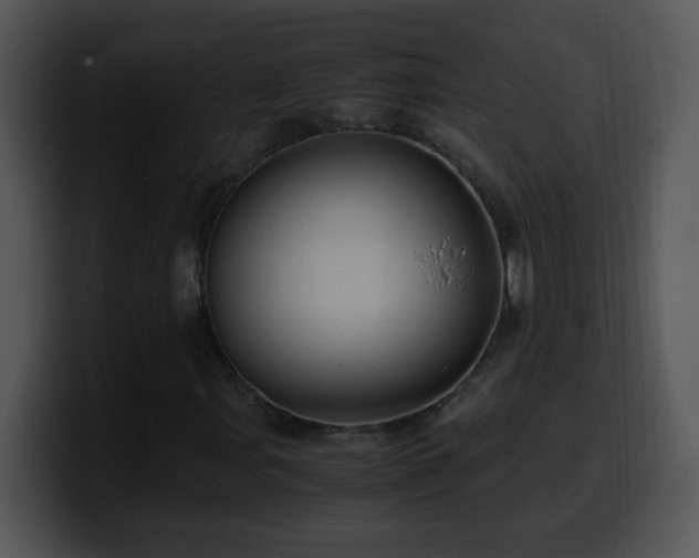 X0000100401107200806061310