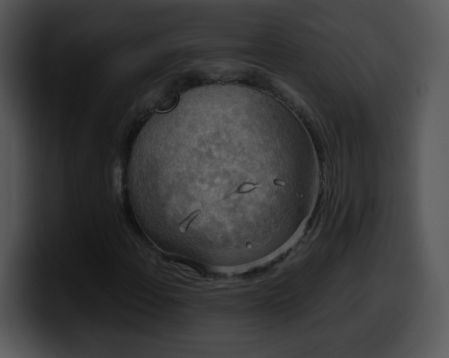 X0000100401108200806061310