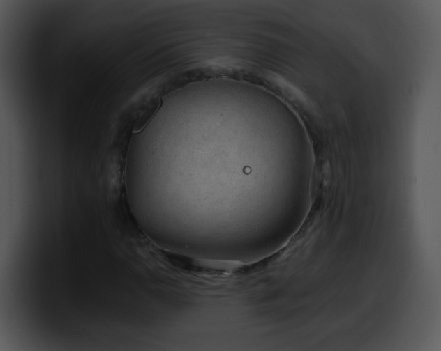 X0000100401110200806061310