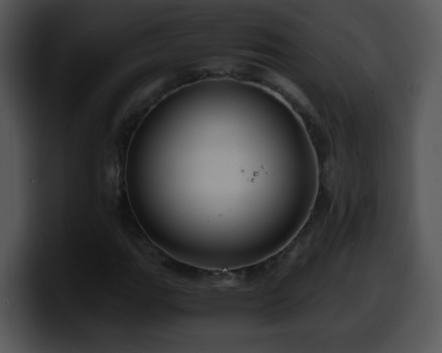 X0000100401111200806061310