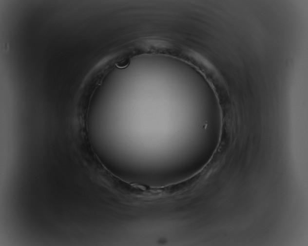 X0000100401112200806061310