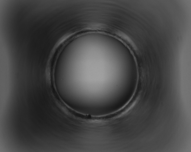 X0000100401114200806061310