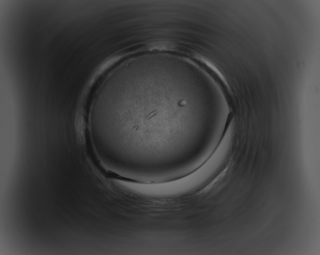 X0000100401115200806061310