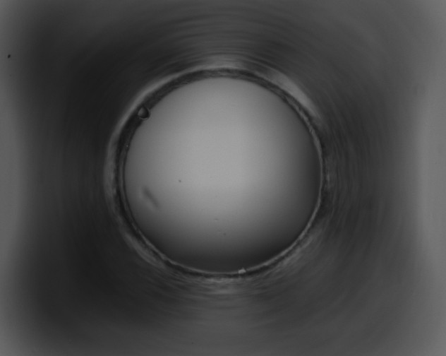 X0000100401116200806061310