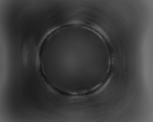 X0000100401117200806061310