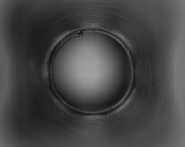 X0000100401118200806061310