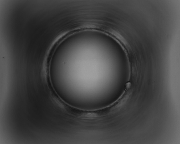 X0000100401119200806061310