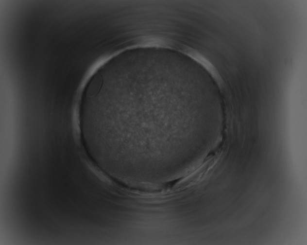 X0000100401120200806061310