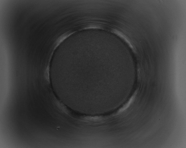 X0000100401121200806061310