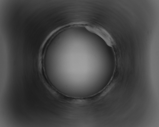 X0000100401124200806061310