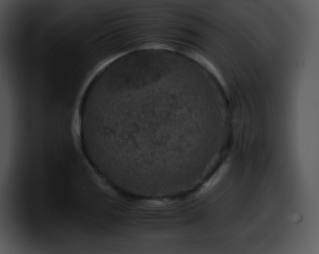 X0000100401125200806061310