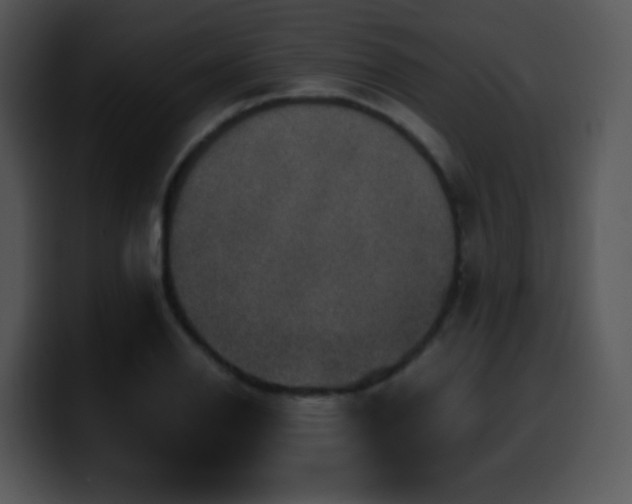 X0000100401126200806061310