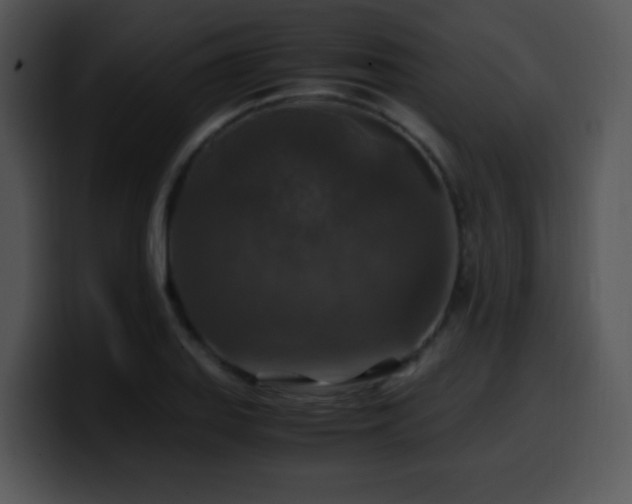 X0000100401127200806061310
