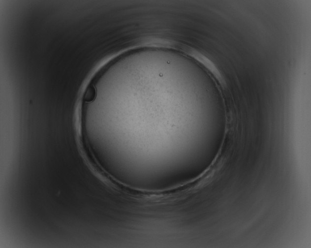 X0000100401128200806061310