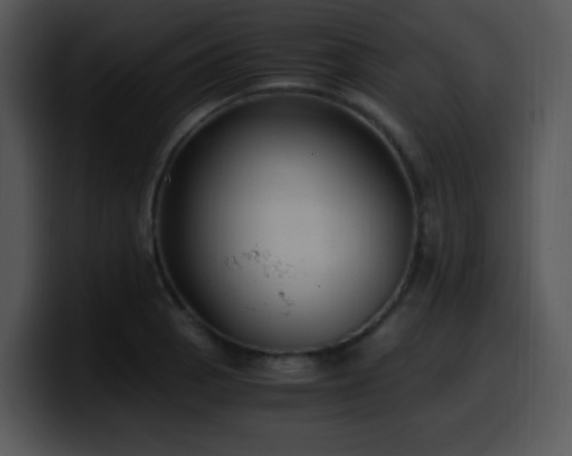 X0000100401129200806061310