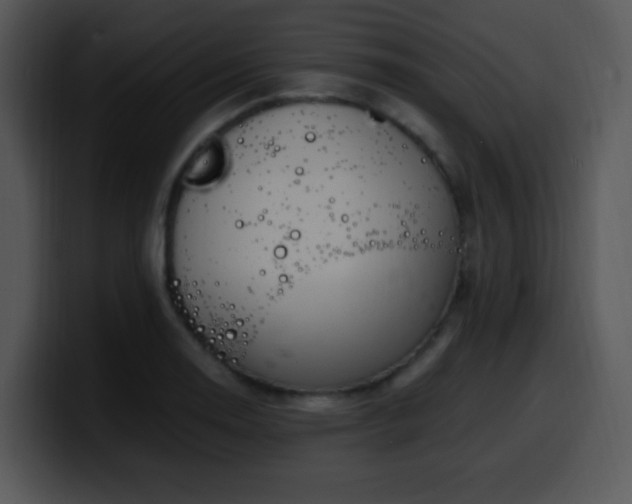 X0000100401130200806061310