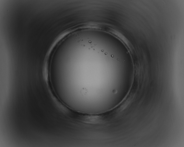 X0000100401131200806061310