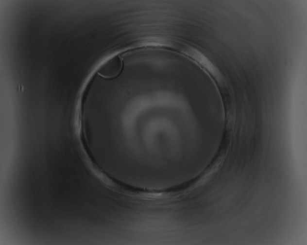 X0000100401132200806061310