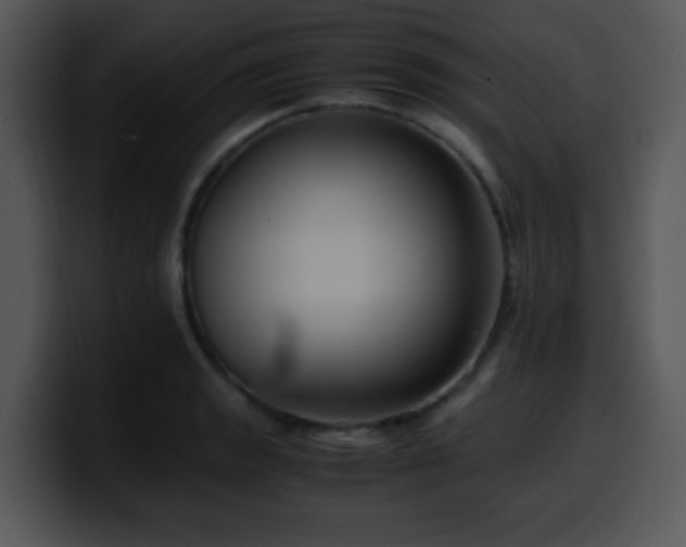 X0000100401133200806061310