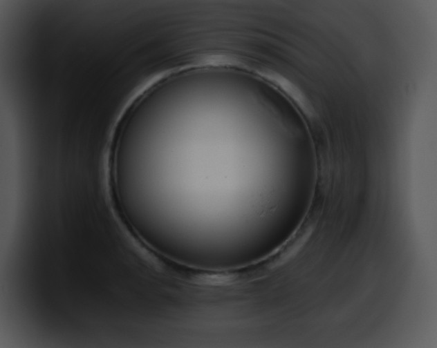 X0000100401134200806061310
