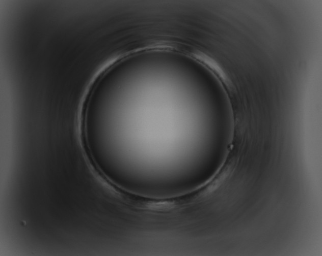 X0000100401135200806061310
