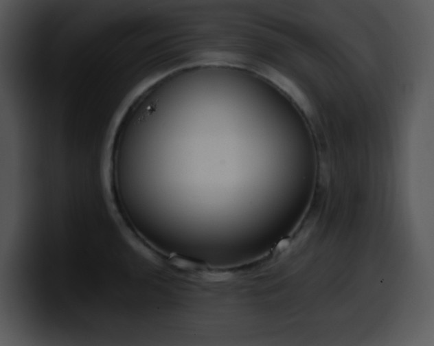 X0000100401136200806061310