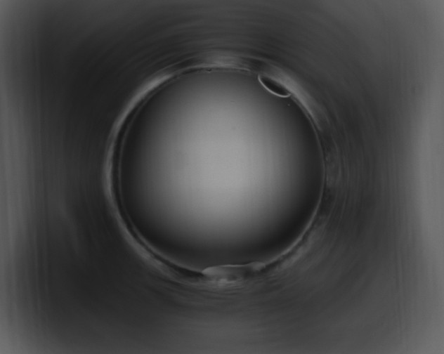X0000100401139200806061310