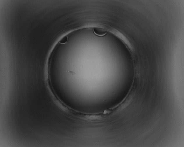 X0000100401140200806061310