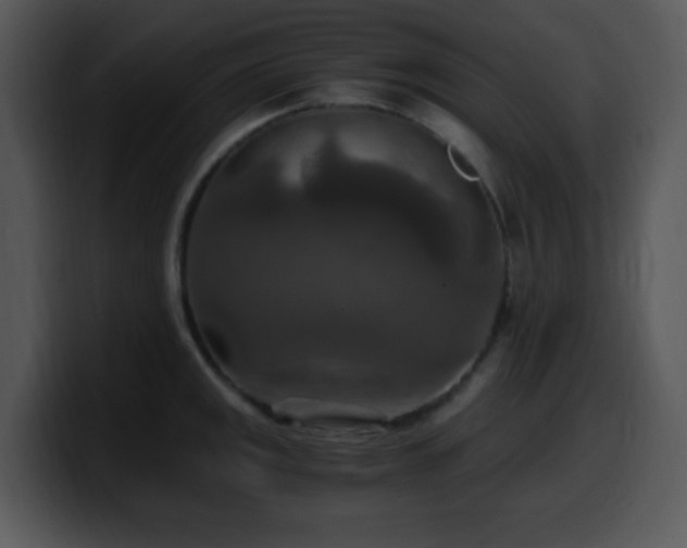 X0000100401141200806061310