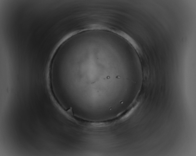 X0000100401142200806061310