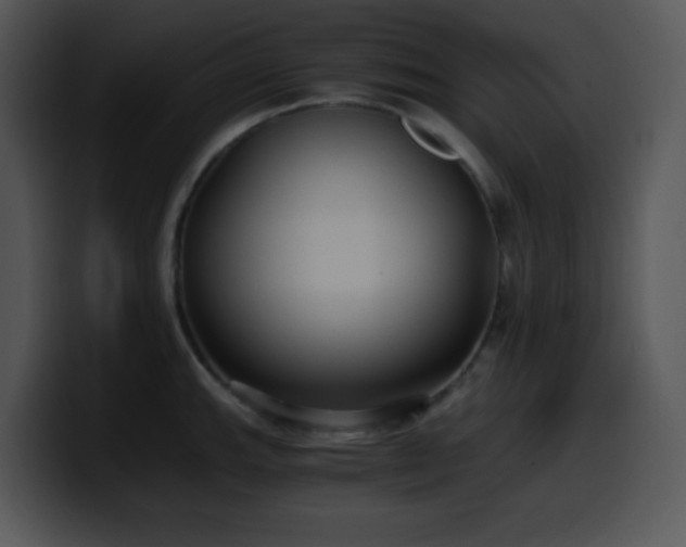 X0000100401143200806061310