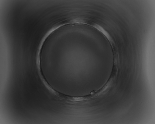 X0000100401144200806061310
