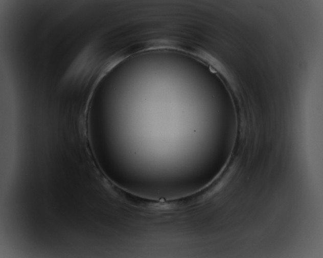 X0000100401145200806061310