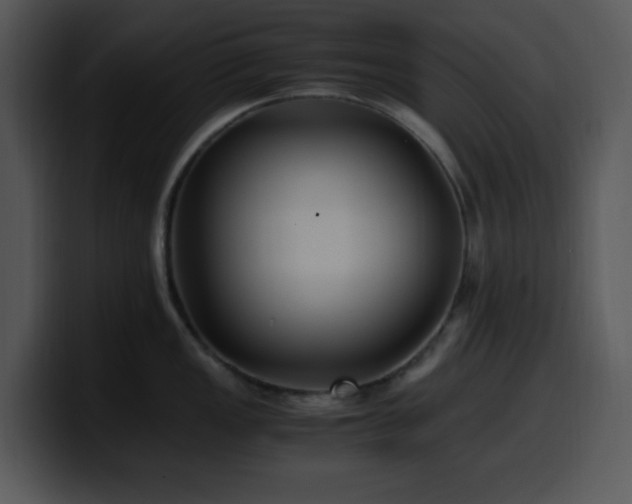 X0000100401149200806061310
