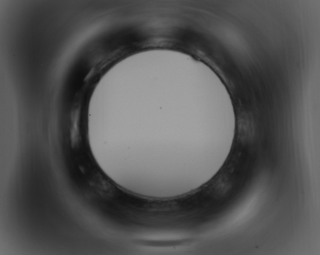 X0000100401150200806061310