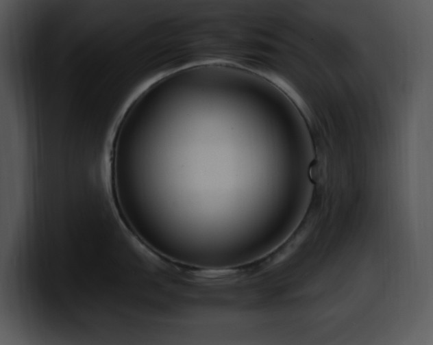 X0000100401151200806061310