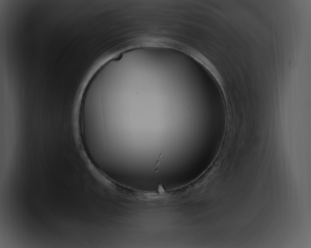 X0000100401152200806061310