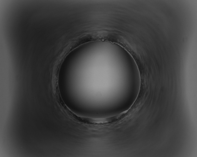 X0000100401153200806061310