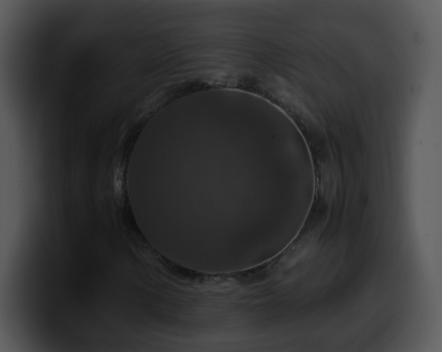 X0000100401154200806061310