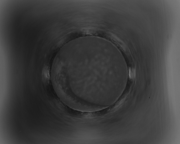 X0000100401155200806061310