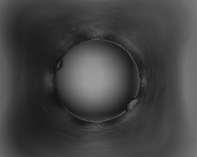 X0000100401156200806061310
