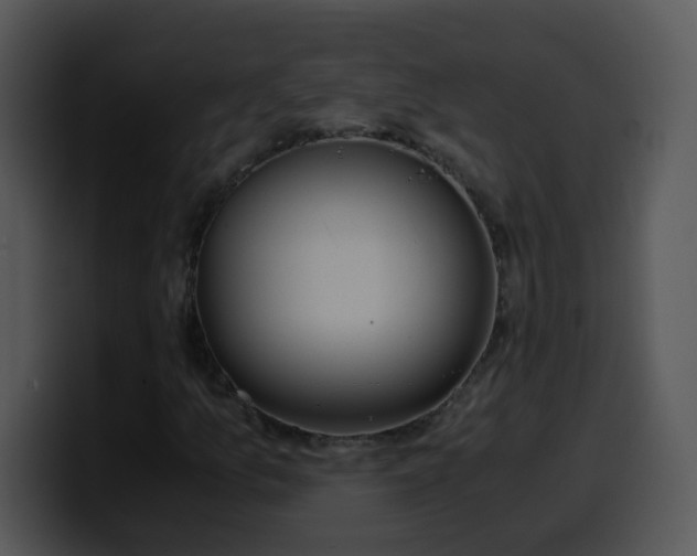 X0000100401157200806061310