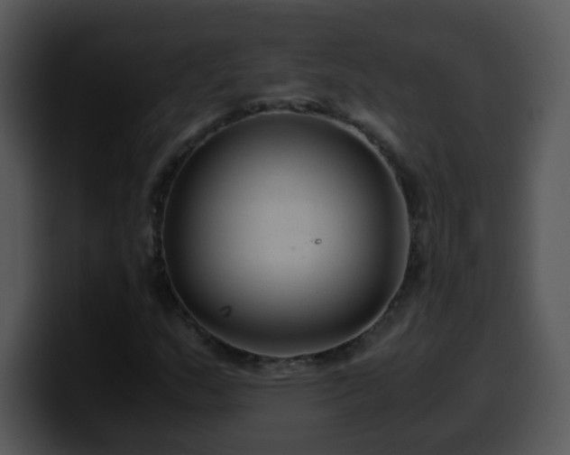 X0000100401159200806061310