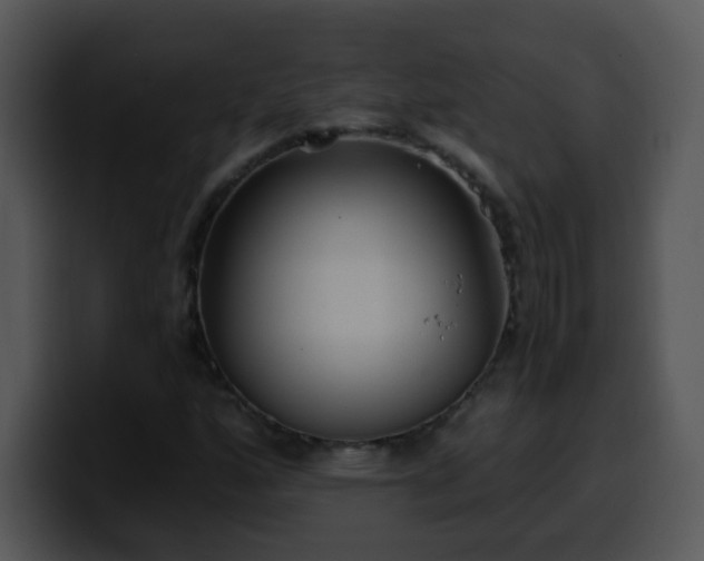 X0000100401160200806061310