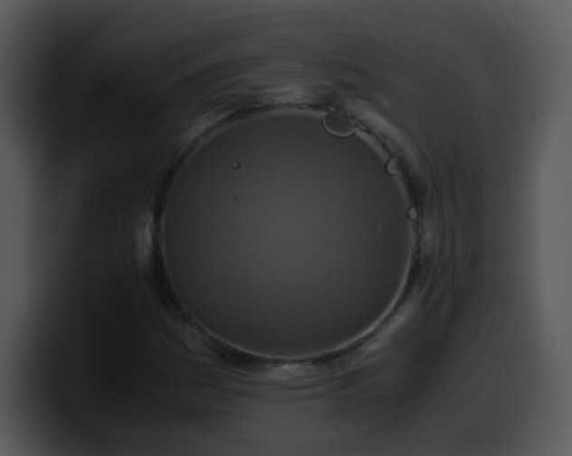 X0000100401161200806061310