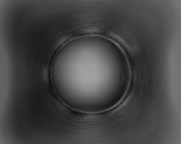 X0000100401162200806061310