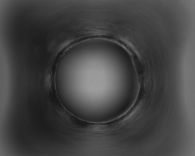 X0000100401163200806061310