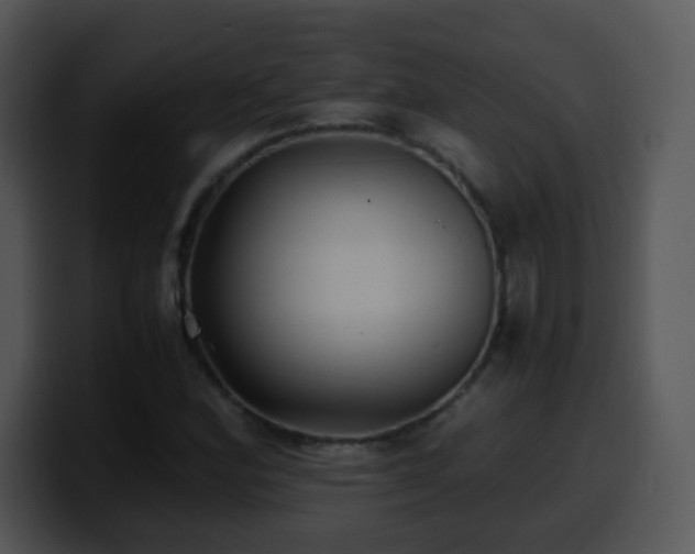 X0000100401164200806061310