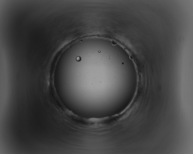 X0000100401165200806061310
