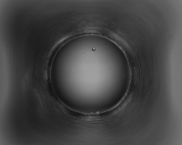 X0000100401166200806061310